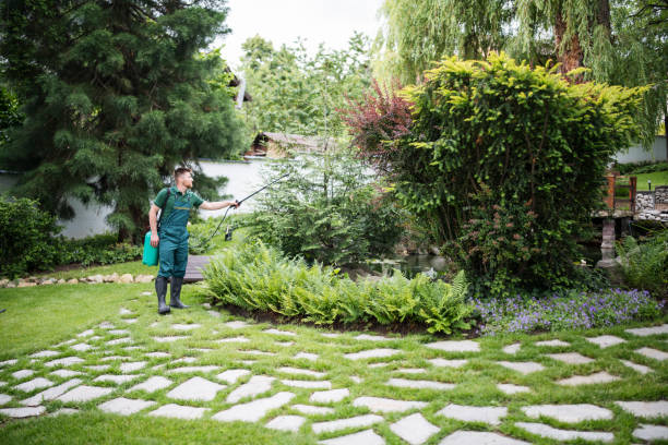 Best Local Pest Control Services  in Healdsburg, CA