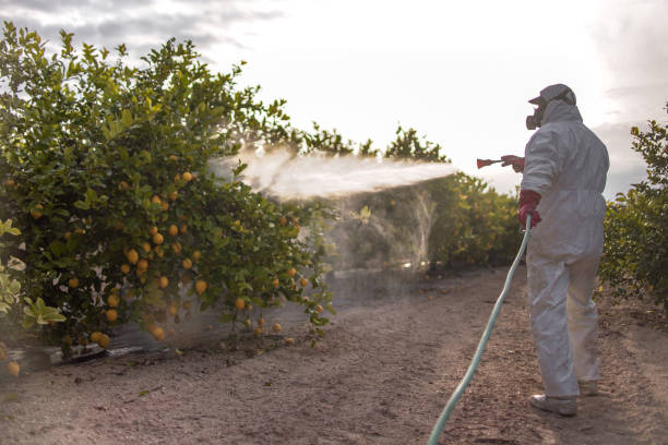 Best Pest Prevention Services  in Healdsburg, CA