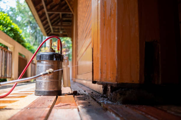 Best Exterminator Services  in Healdsburg, CA