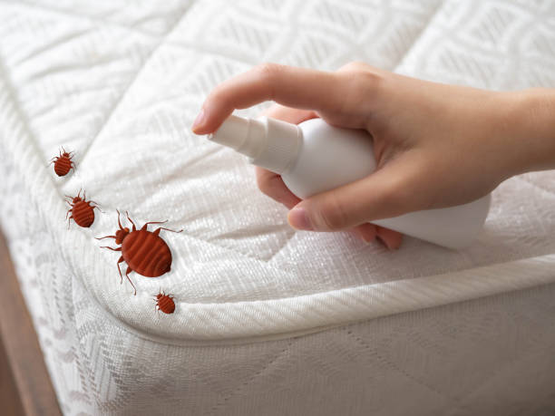 Pest Control for Restaurants in Healdsburg, CA