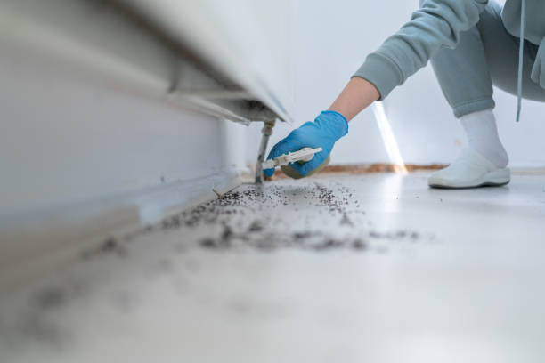 Best Best Pest Control Companies  in Healdsburg, CA